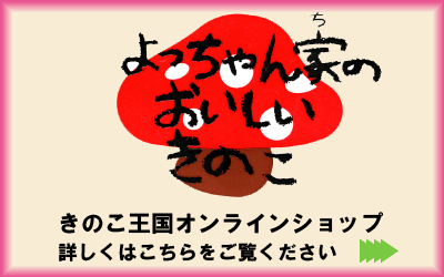 きのこ王国オンラインショップ